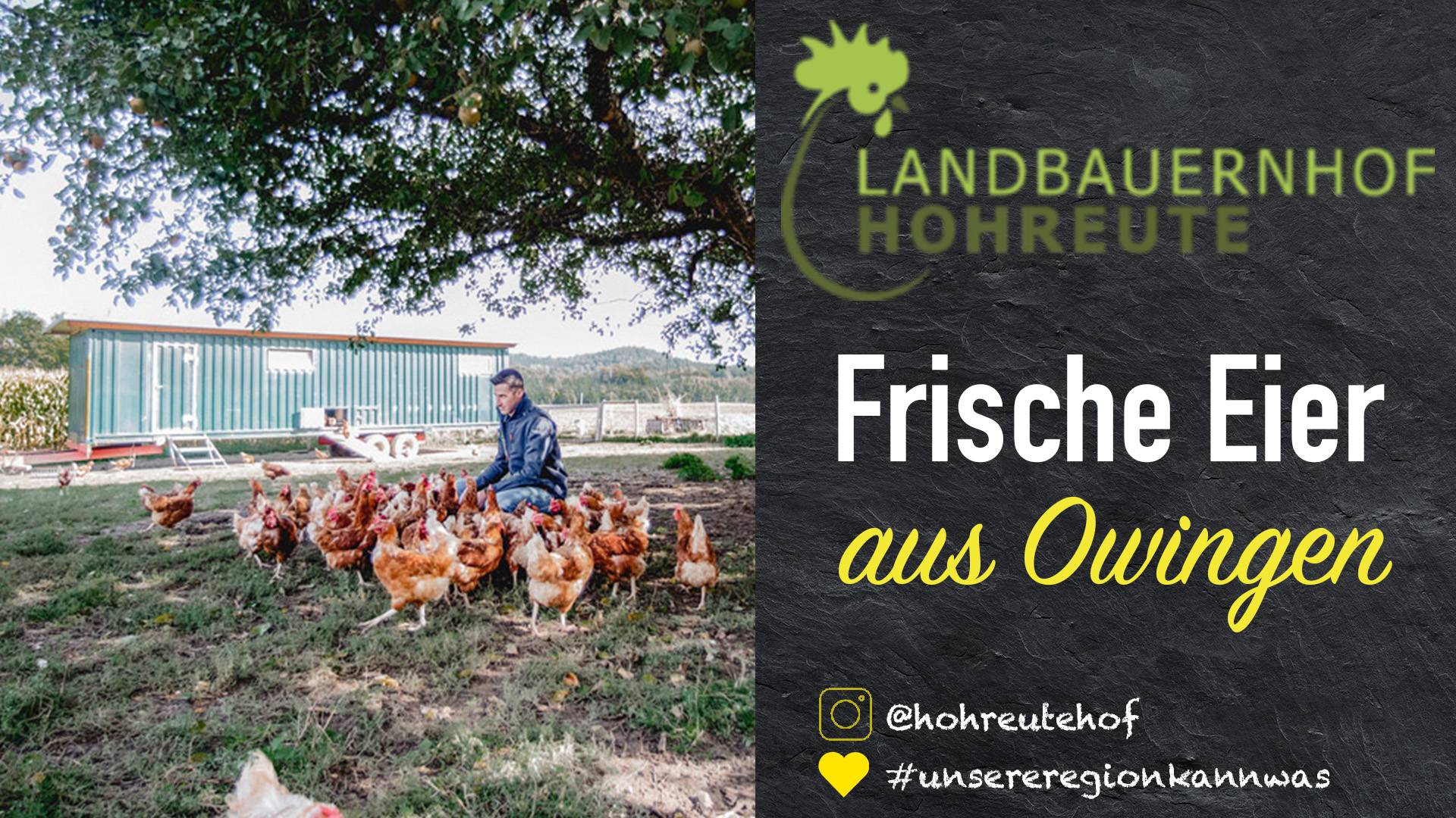 Landbauernhof Hohreute - Frische Eier aus Owingen (Instagram: @hohreutehof, #unsereregionkannwas)
